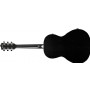 Ibanez PN14MHE WK - Weathered Black Open Pore Elektro Akustik Gitar