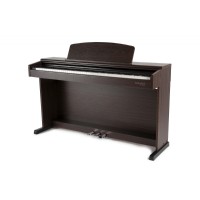 Gewa DP300 Gül Ağacı