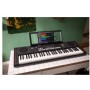 Roland E-X10 Org