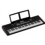 Roland E-X10 Org