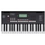 Roland E-X10 Org