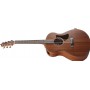 Ibanez AAM54 OPN - Open Pore Natural Akustik Gitar