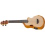 Ibanez AUC10E OPN - Open Pore Natural Elektro Concert Ukulele