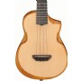 Ibanez AUT10 OPN - Open Pore Natural Tenor Ukulele