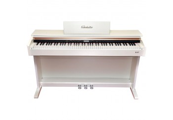 Beisite B97 - Dijital Piyano