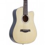 Traveler RMSM Redlands Mini Akustik Gitar