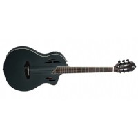 Ortega TourPlayer RTPSTD Satin Black
