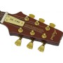 Aria Pro-II PE-F80 SBR (Stained Brown) Elektro Gitar