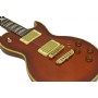 Aria Pro-II PE-F80 SBR (Stained Brown) Elektro Gitar