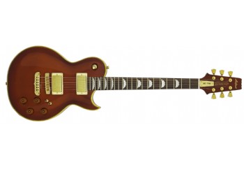 Aria Pro-II PE-F80 SBR (Stained Brown) -  Elektro Gitar