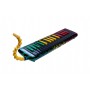 Hohner C944013 Airboard Rasta 32 Tuşlu Melodika