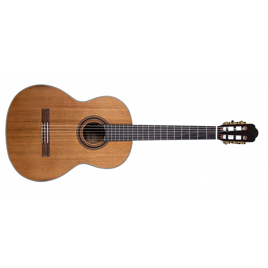 Barcelona Reguis Natural Klasik Gitar