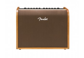 Fender Acoustic 100 - Akustik Gitar Amfisi