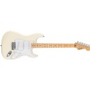 Fender Standard Stratocaster Olympic White - Maple