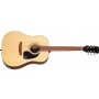 Epiphone DR-100 Songmaker Natural Akustik Gitar Seti