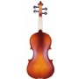 Rosa RV0116M (5 Yaş ve Altı için) 1/16 Mat Cila Keman