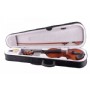 Rosa RV0116M (5 Yaş ve Altı için) 1/16 Mat Cila Keman