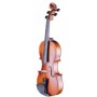 Rosa RV018M (5-6 Yaş için) 1/8 Mat Cila Keman