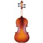 Rosa RV018M (5-6 Yaş için) 1/8 Mat Cila Keman