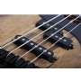 Schecter Model-T 4 Exotic Natural Satin Bas Gitar