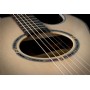 Washburn EA20S Nuno Bettencourt Signature Elektro Akustik Gitar