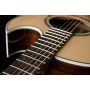 Washburn EA20S Nuno Bettencourt Signature Elektro Akustik Gitar