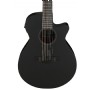 Ibanez AEG721-BOT 7 Telli Elektro Akustik Gitar