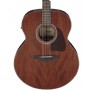 Ibanez AJ54E Elektro Akustik Gitar