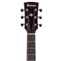 Ibanez AJ54E Elektro Akustik Gitar