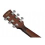 Ibanez AJ54E Elektro Akustik Gitar