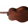 Ibanez AJ54E Elektro Akustik Gitar