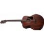 Ibanez AJ54E Elektro Akustik Gitar
