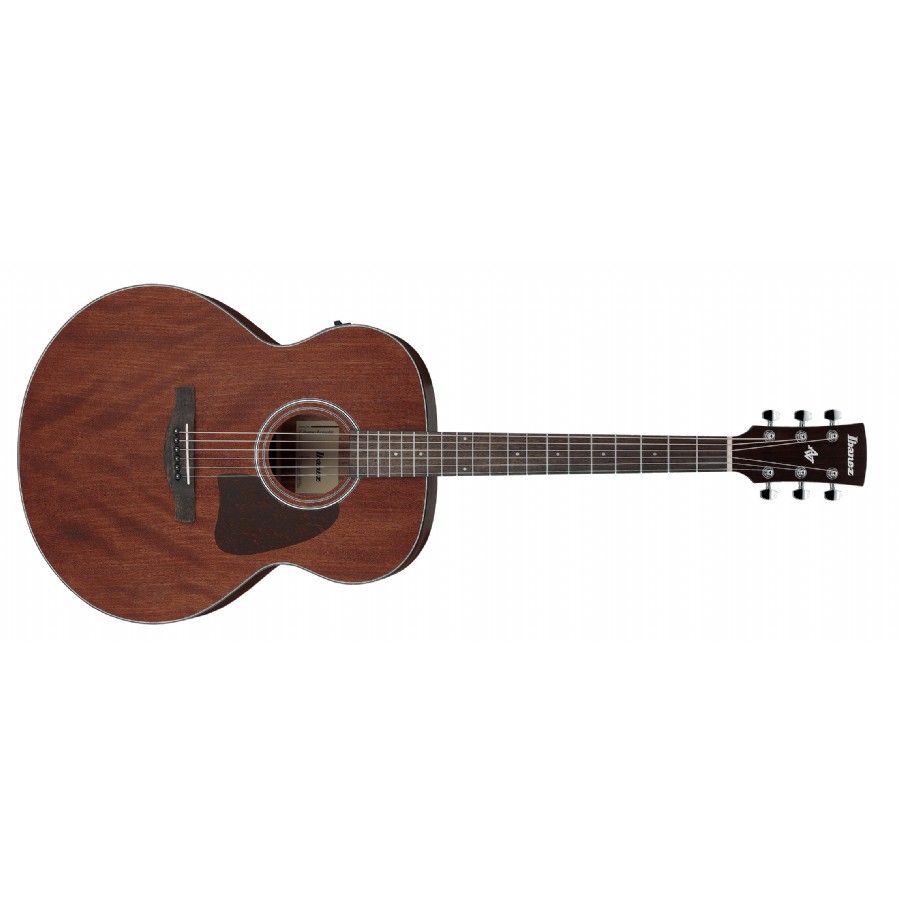 Ibanez AJ54E Elektro Akustik Gitar