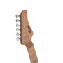 Cort G290 Modern DRS - Dusty Rose Elektro Gitar