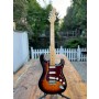 Tagima TG 530 SB - Sunburst Elektro Gitar
