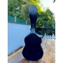 Merida GC-25 Acoustic Akustik Gitar Hardcase