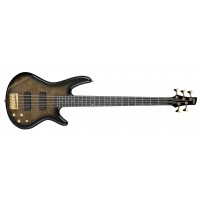 Ibanez GSR205PC TPB : Transparent Pale Black Burst