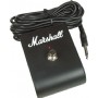 Marshall AS100D Akustik Gitar Amfisi