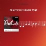 D'Addario J810 Prelude J810 - 4/4 Takım Tel Keman Teli