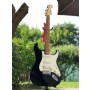 Fender Standard Stratocaster HSS Lake Placid Blue Maple Elektro Gitar