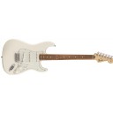 Fender Standard Stratocaster Arctic White - Pau Ferro