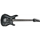 Ibanez JS100 Joe Satriani Signature Series BK