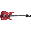 Ibanez JS100 Joe Satriani Signature Series TR