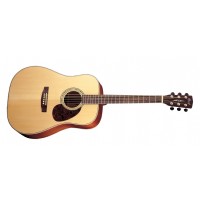 Cort Earth 100 NAT