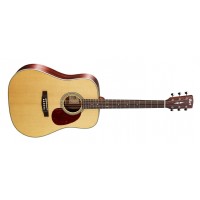 Cort Earth 100 NS