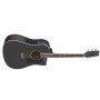 Washburn D10S Siyah Akustik Gitar