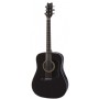 Washburn D10S Siyah Akustik Gitar