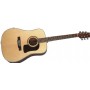 Washburn D10S Naturel Akustik Gitar