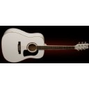 Washburn D10S WH - White