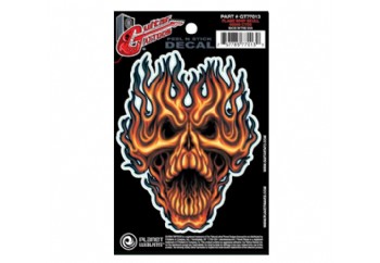 Planet Waves Flame Whip Skull GT77013 - Gitar Sticker